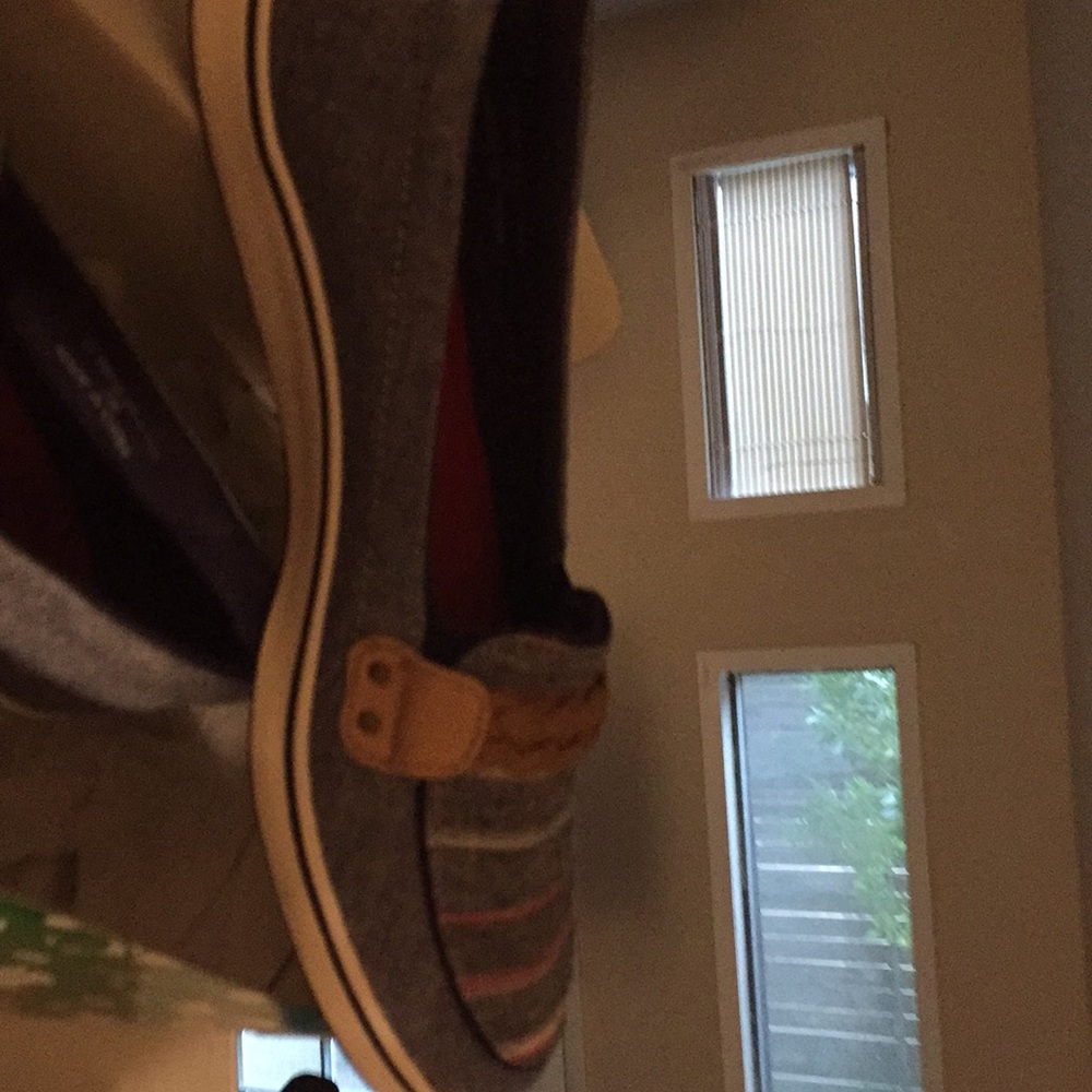 Grasshopper canvas shoes